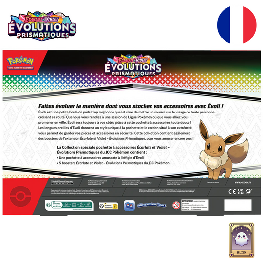 DOS-Pokémon - Coffret Accessoires EV 8.5 - FR