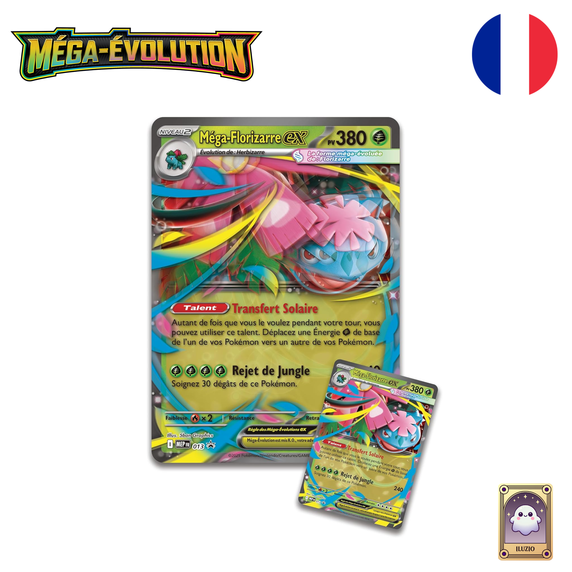 Cartes Promo - Pokémon - Collection Premium Méga-Florizarre-ex - Français