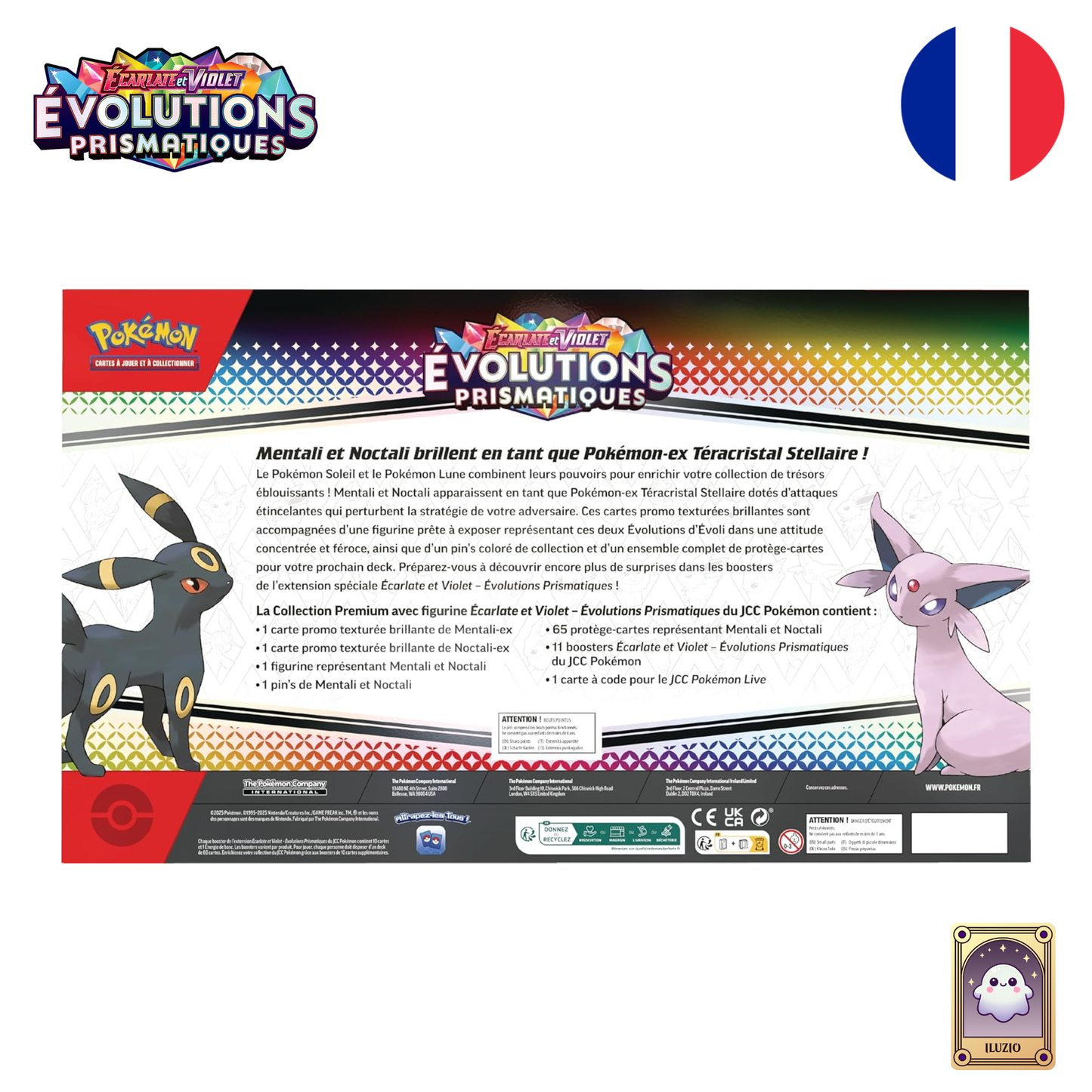 Dos-Pokémon - Collection Premium avec Figurine EV 8.5 - Évolutions Prismatiques - Français