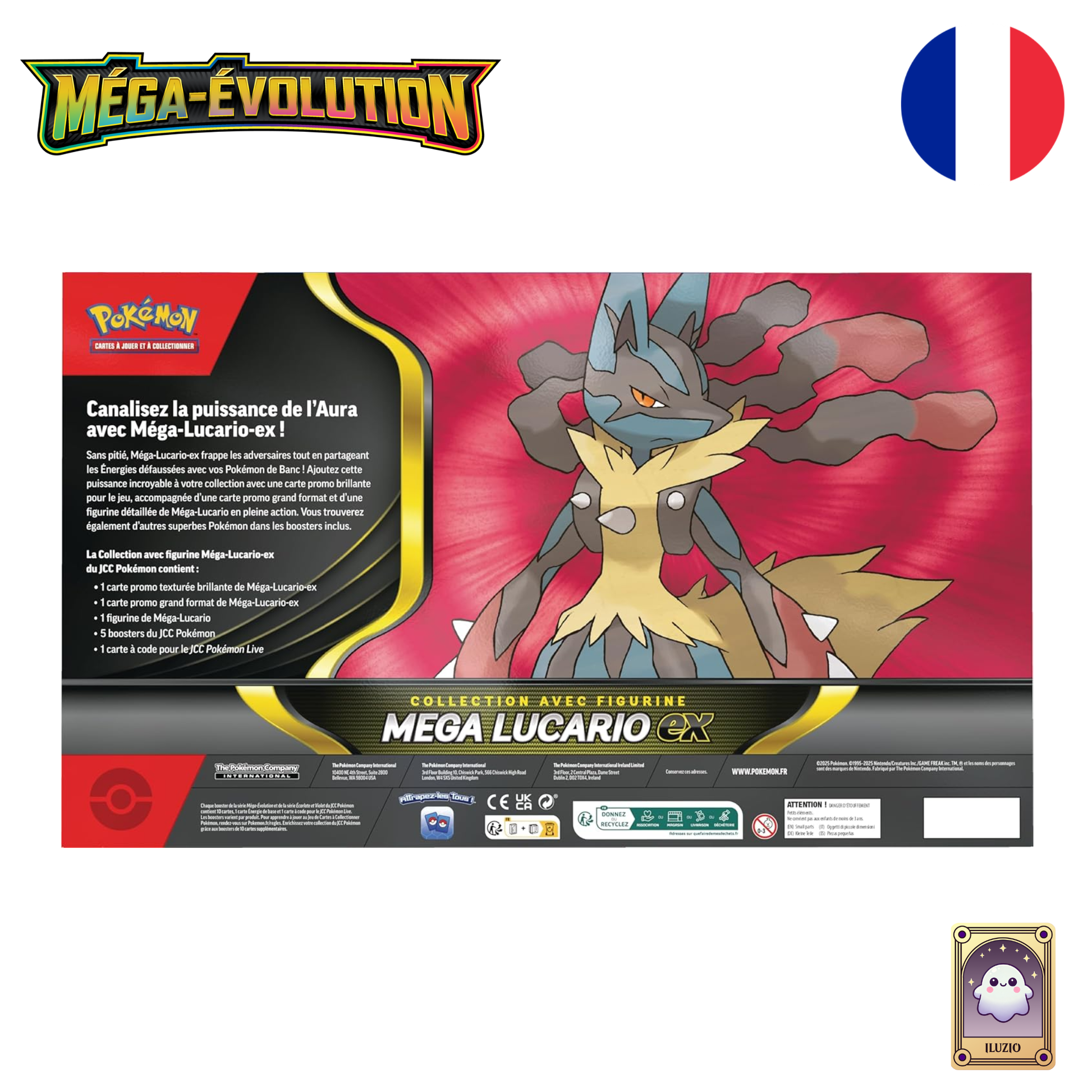 Dos-Pokémon - Collection Premium avec Figurine Méga-Lucario-ex - Français